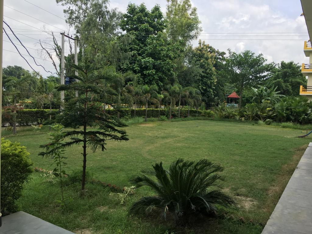 Activity Room